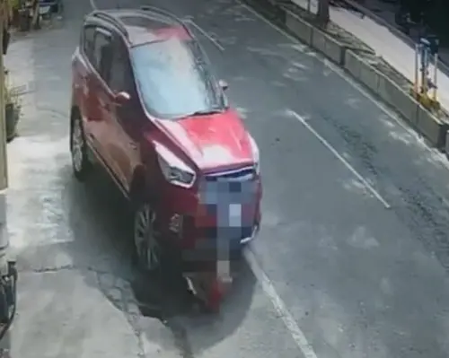 驚悚畫面曝！彰化女蹲路邊玩狗遭休旅車輾過　狗慘死、人重傷搶救
