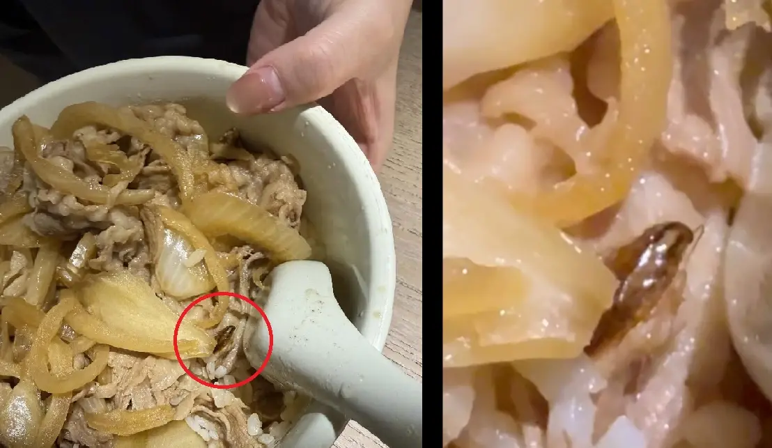 ▲網友在台中市南區某家連鎖餐飲的牛肉壽喜燒飯裡，發現一隻小蟑螂。（圖／翻攝網友zhao_0730的Threads，2026.01.05）