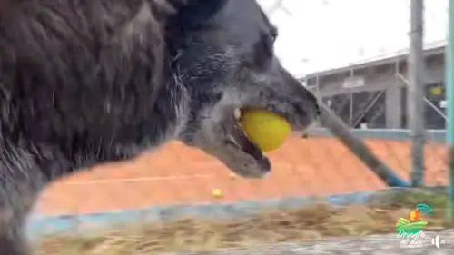 ▲（圖／翻攝自臉書粉專「Inder Guarne」）