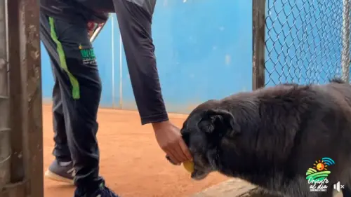 ▲（圖／翻攝自臉書粉專「Inder Guarne」）