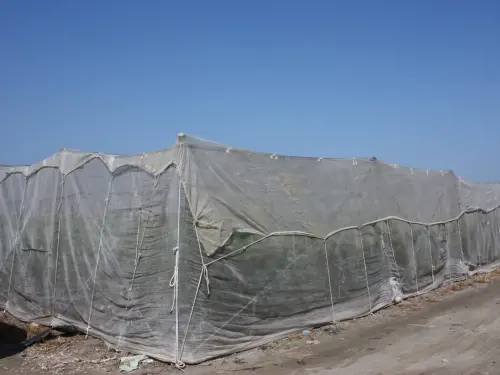 ▲蔬菜水平網室頂部加蓋紗網保溫。（圖／高雄農改場）