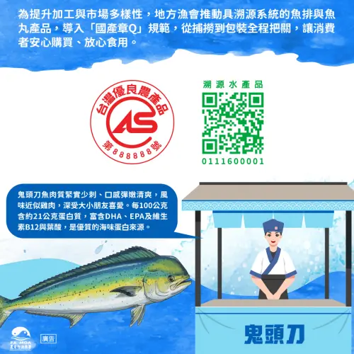 ▲鬼頭刀又名鱰魚，是台灣東部近海與遠洋漁民熟悉的明星魚種。（圖／農業部提供）