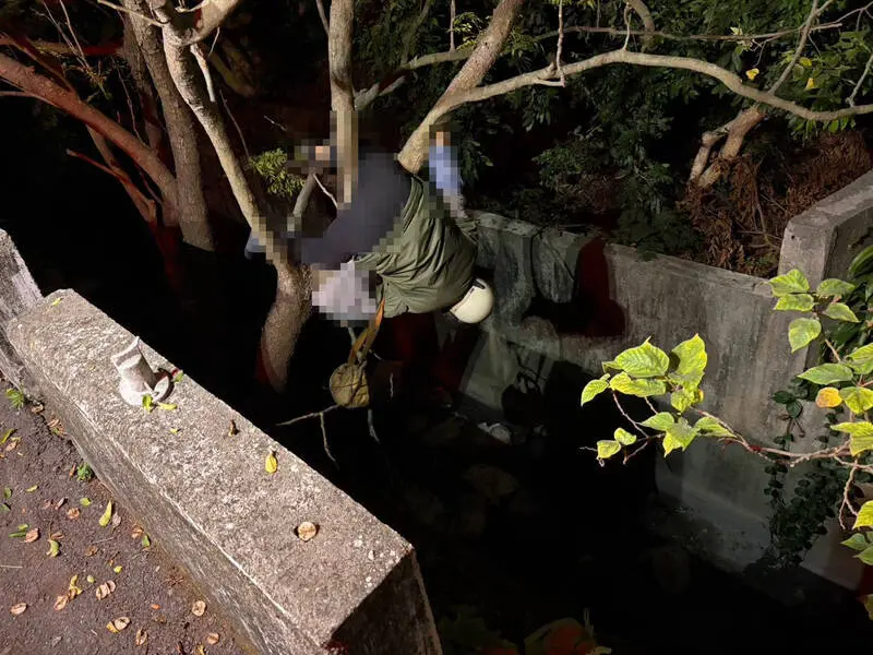 彰化離奇車禍！女騎機車疑遭撞飛　「倒掛」卡樹幹命危送醫