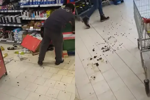 ▲羊群離開超市後，卻遺留許多糞便，不少商品也因羊群碰撞而破碎。（圖／YT@osthessen-news.de）