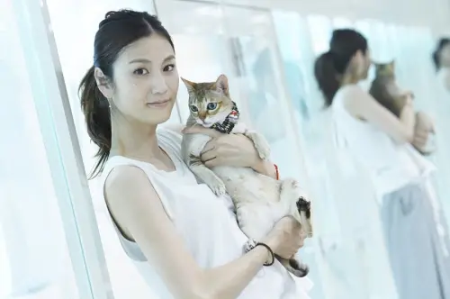 日名模古谷惠大腸癌過世！生前放棄化療　最後貼文喊：與疼痛共存
