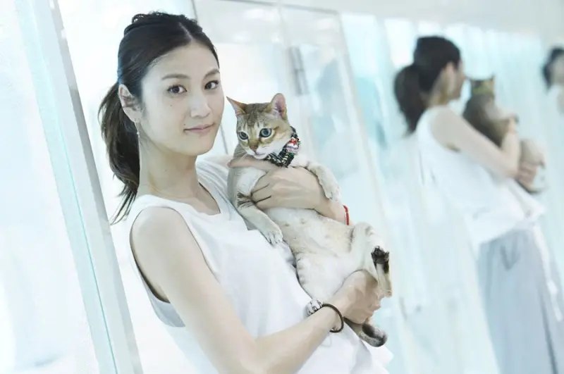 ▲日本名模古谷惠在今（7）日傳出於去年12月19日因大腸癌過世，她生前放棄化療，決定用緩和治療，不料最終仍不敵病魔離世。而她在生日當天的貼文還樂觀喊：「與疼痛共存」，讓粉絲忍不住鼻酸。（圖／X@fraisst）