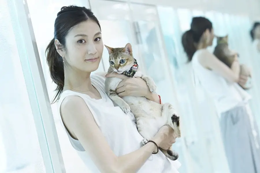 ▲日本名模古谷惠在今（7）日傳出於去年12月19日因大腸癌過世，她生前放棄化療，決定用緩和治療，不料最終仍不敵病魔離世。而她在生日當天的貼文還樂觀喊：「與疼痛共存」，讓粉絲忍不住鼻酸。（圖／X@fraisst）