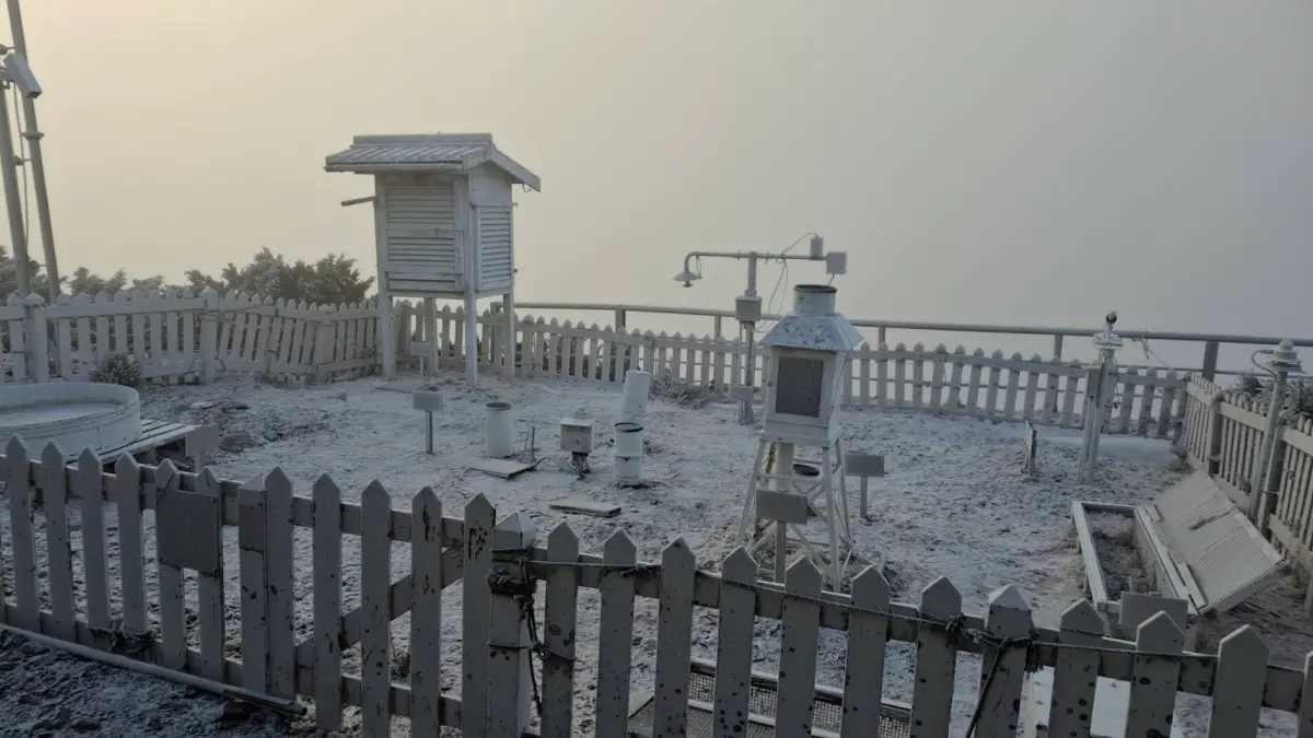 ▲強烈大陸冷氣團襲台，海拔3858公尺的玉山氣象站，今天上午出現-7.9度低溫，雪白的「霧淞」染白山頭。（圖／氣象署玉山氣象站提供）