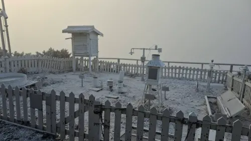 阿里山睽違8年後下雪！大雪紛飛20分鐘　玉山-7.9度霧淞染白山頭
