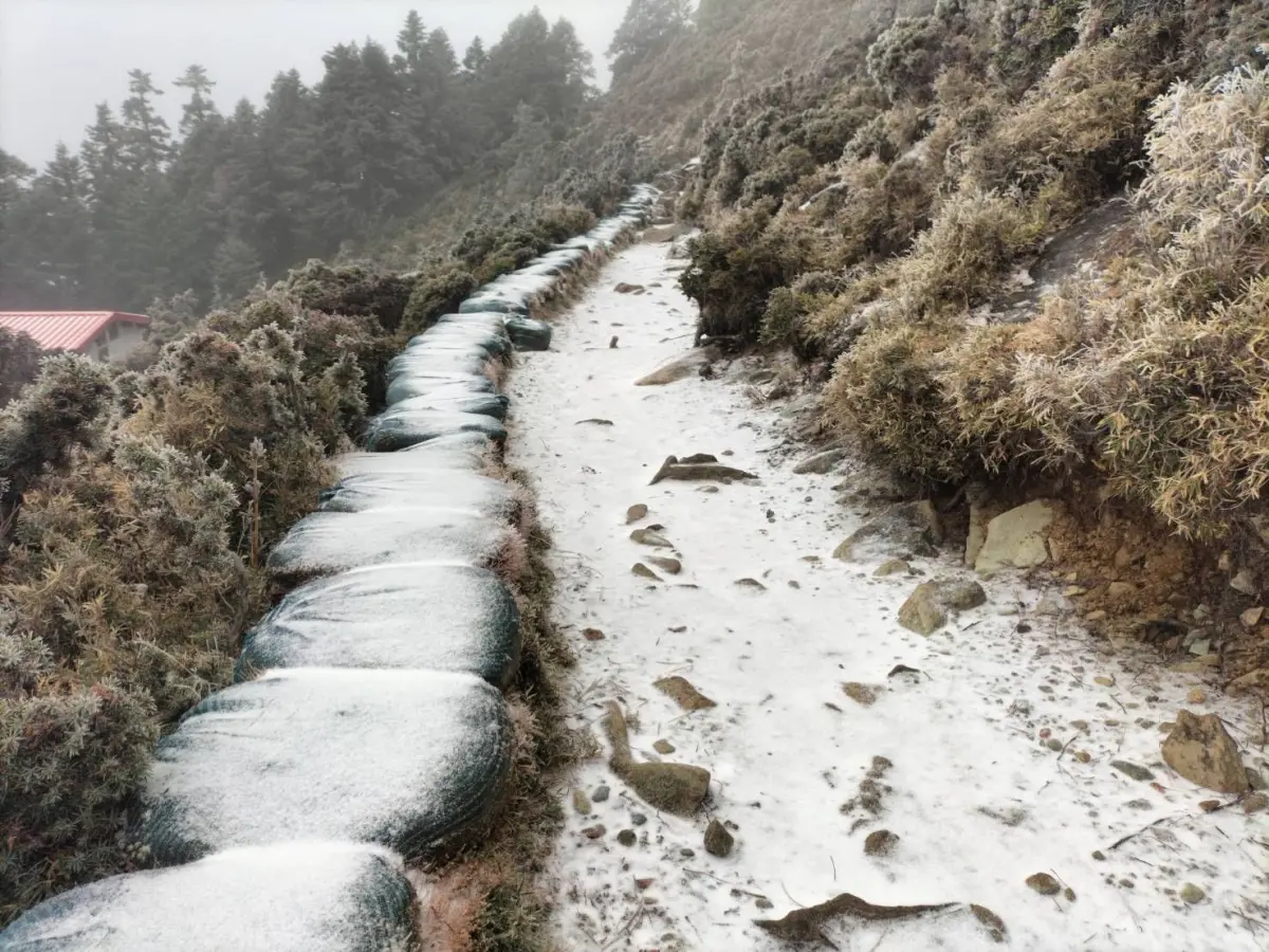 ▲今天清晨，南橫山上的嘉明湖山屋在氣溫、水氣搭配下飄雪，短短半小時就把大地染成銀白色。（圖／熊出沒企業社提供）