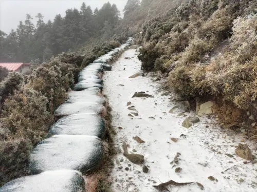 不只阿里山！南橫嘉明湖山屋也下雪了　半小時變絕美銀白大地　
