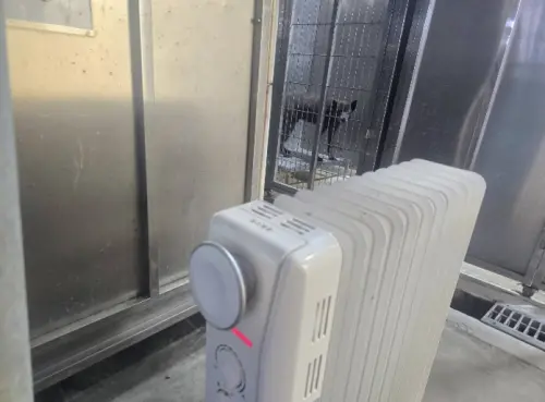 ▲北市動物之家因應低溫氣候於犬舍啟動電暖器以加強保暖。（圖／北市動保處提供）