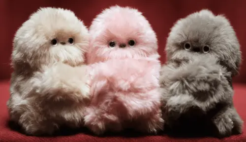 Mirumi陪伴機器人爆紅！主人呼喚會回頭、被摸會害羞　亮相掀轟動
