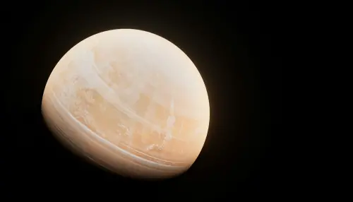 ▲（圖／取自unsplash）