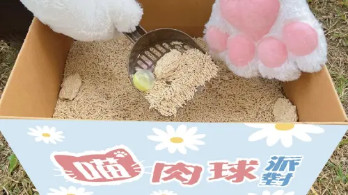 ▲ 「喵肉球派對」集結貓咪市集、趣味競賽、可愛裝置、愛貓講座等。（圖／夢時代提供）