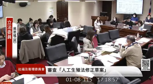 稱藍白黨團「異性戀代孕」是最新民意！陳昭姿嗆：大罷免後再認證
