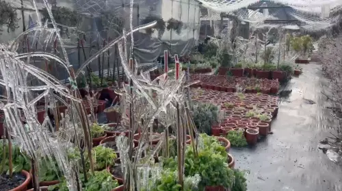 ▲（圖／武陵農場提供）