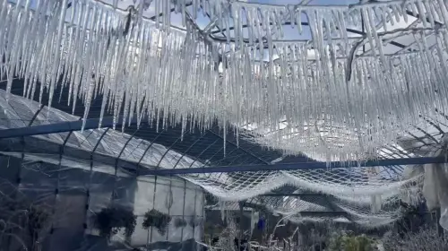 ▲（圖／武陵農場提供）