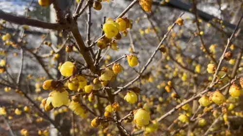 ▲（圖／武陵農場提供）