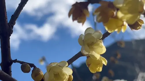 ▲（圖／武陵農場提供）