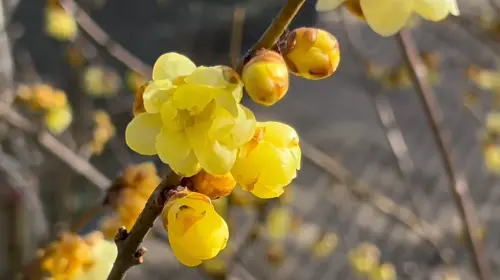 ▲（圖／武陵農場提供）