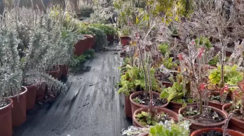 ▲（圖／武陵農場提供）