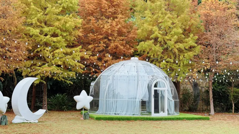 ▲青青食尚花園會館園區占地約7,000坪，種植上百棵落羽松，園區內還規劃星月童話、北歐小虹屋等人氣打卡點。（圖／翻攝畫面）