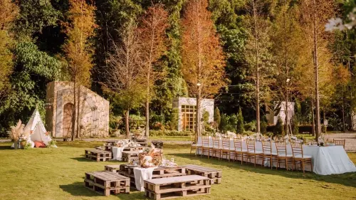 ▲落羽松每年12月至1月進入變色高峰期，由綠轉黃、再染上橘紅色調，形成少見的大面積冬季林相。（圖／翻攝畫面）