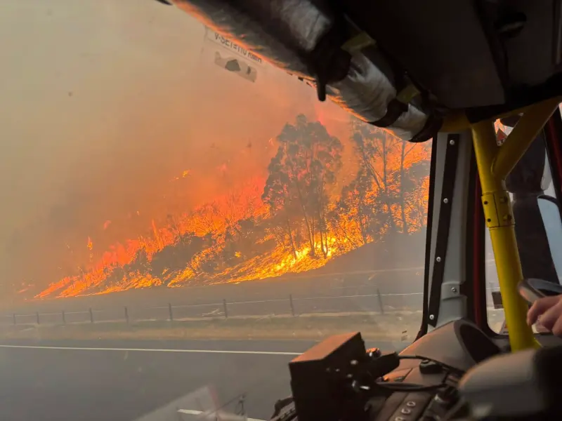 野火吞噬30萬公頃！澳洲維多利亞進入「災難狀態」　近4萬戶停電