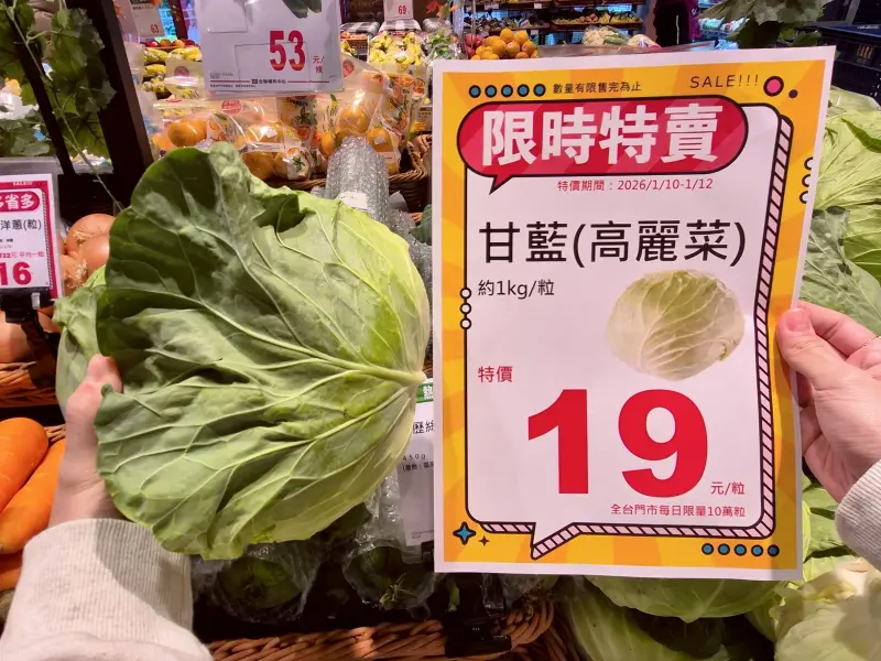 ▲全聯、大全聯高麗菜限時優惠19元，農糧署教正確挑選方式，營養師提醒外葉與內葉最好都要沖洗，高麗菜延長保存方式一次看。（圖／全聯pxmart.com.tw）