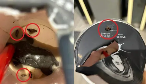 ▲024年8月25日，有民眾在爆料公社控訴，自己在鶴茶樓晴光店點了「鶴記鴛鴦凍奶茶」，結果突然喝到脆脆口感，拆開封膜一看，才發現飲料底部竟有「蟑螂全家福」。（圖／翻攝畫面）