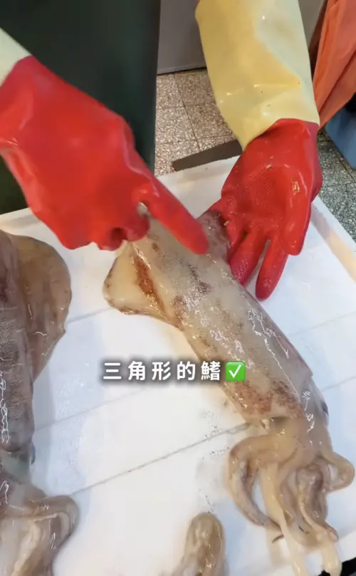 ▲透抽的鰭是三角形的。（圖／今今闆娘授權提供IG@chin_chin1018）