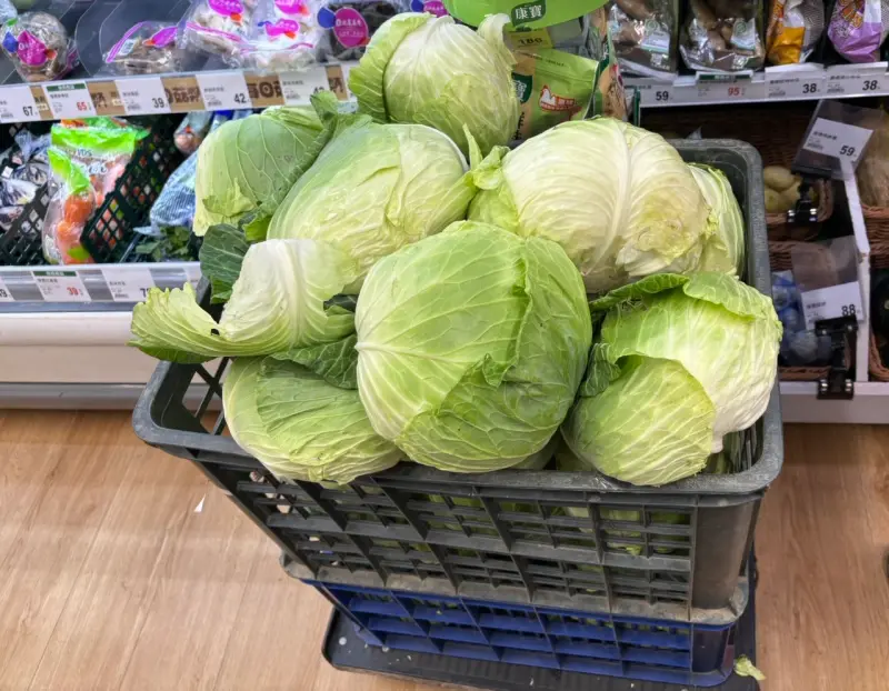 全聯高麗菜19元搶瘋！酸高麗菜、台式泡菜做法攻略　大廚神技秒殺