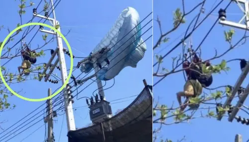 玩滑翔傘竟卡在電線竿！1人釀泰國島嶼「全島停電」
