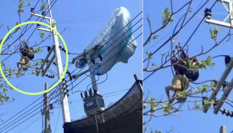 玩滑翔傘竟卡在電線竿！1人釀泰國島嶼「全島停電」