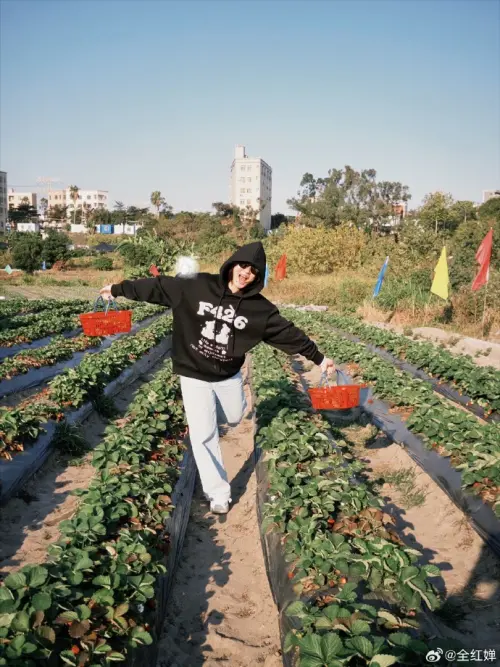 ▲全紅嬋目前正在廣東享受難得的假期，網民戲稱「摘草莓是廣東人的標準假期節目」。（圖／翻攝自全紅嬋微博）