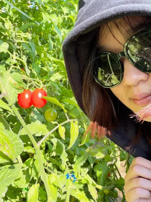 ▲針對外界關心全紅嬋是否因長期休假而選擇「退役」，知情人士澄清她目前仍處於腳踝傷病的康復階段。（圖／翻攝自全紅嬋微博）