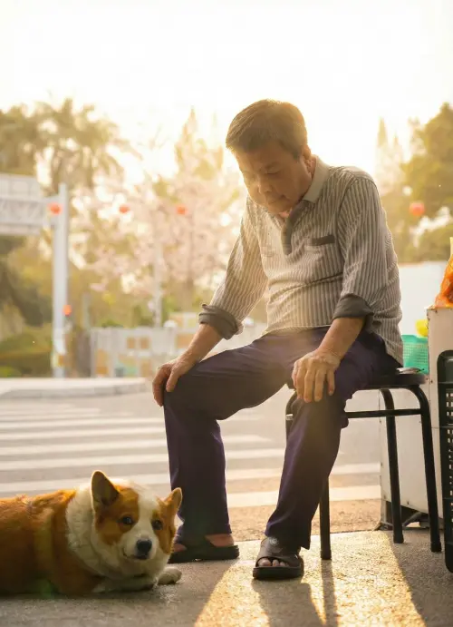 ▲柯基犬大大（圖／翻攝自臉書粉專「連環泡有芒果2.0」）