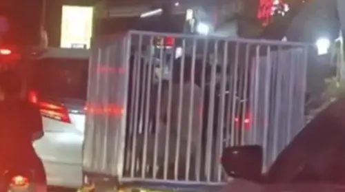 驚悚畫面瘋傳！柬埔寨工人慘遭「關狗籠」遊街　真相逆轉全網看傻
