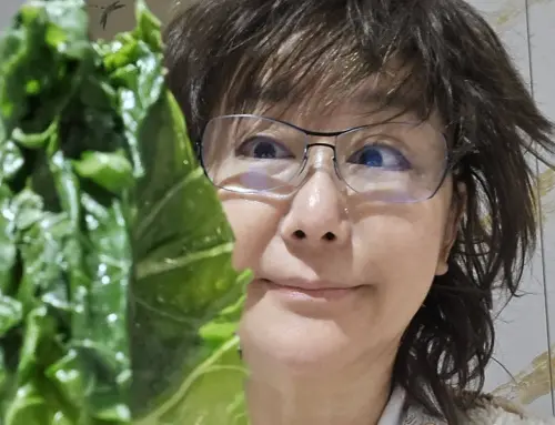 ▲今日娛樂看點包括藍心湄（如圖）撞臉王世堅、43歲阿Sa蔡卓妍認愛小十歲健身男、日本女星高橋智子車禍離世細節曝光。（圖／藍心湄 Hsin-Mei Lan 臉書）