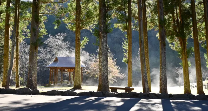 ▲武陵農場的地面和涼亭，因白霜被太陽照射後蒸發，出現仙氣飄飄的美景。（圖／武陵農場提供，2026.01.14）