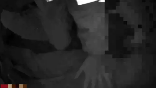 宜蘭受刑人「保外就醫潛逃」驚爆北市街頭毒駕！狼狽落網畫面曝光
