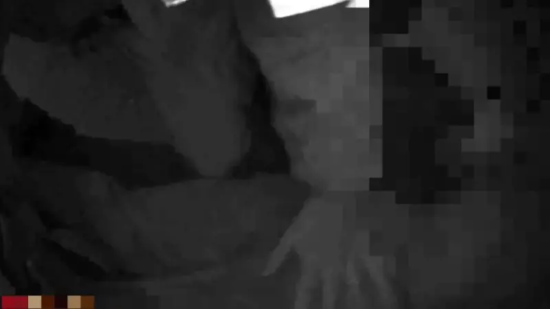 宜蘭受刑人「保外就醫潛逃」驚爆北市街頭毒駕！狼狽落網畫面曝光