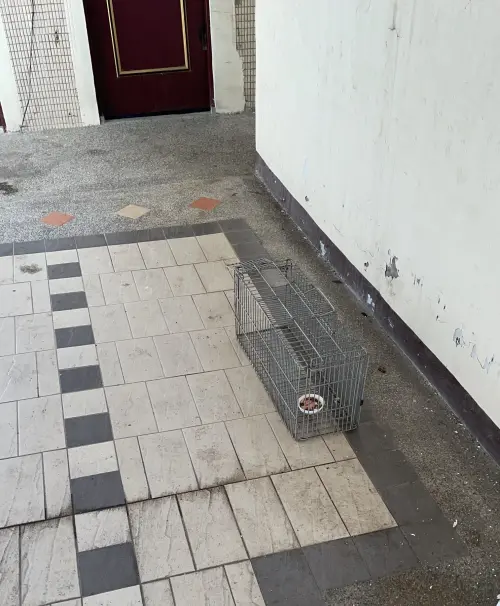 ▲台北市動保處已調集8個捕貓籠，並備齊充足的罐頭、飼料，派員架設於西寧國宅5樓及16樓等可能有街貓出沒的地點。（圖／北市動保處）