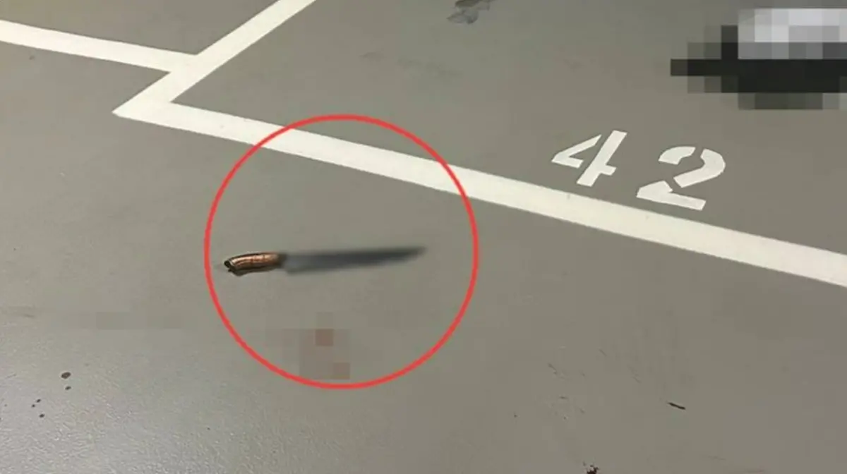 ▲北市萬男在南港CITYLINK停車場被砍，警方循線逮捕2名潘姓男子，士林地檢署偵結後，依殺人未遂及恐嚇等罪嫌提起公訴。（圖／翻攝畫面）