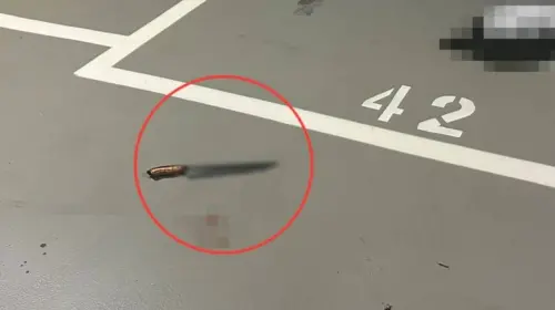 南港停車場爆債務糾紛！遭43公分柴刀砍傷縫17針　2嫌2罪起訴
