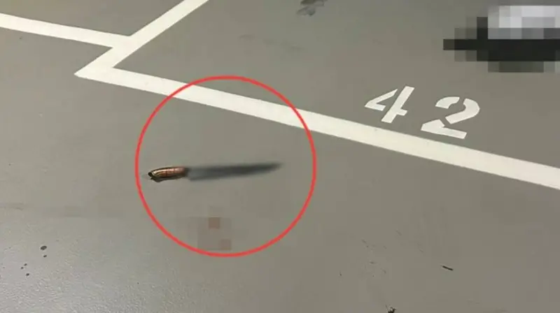 ▲北市萬男在南港CITYLINK停車場被砍，警方循線逮捕2名潘姓男子，士林地檢署偵結後，依殺人未遂及恐嚇等罪嫌提起公訴。（圖／翻攝畫面）