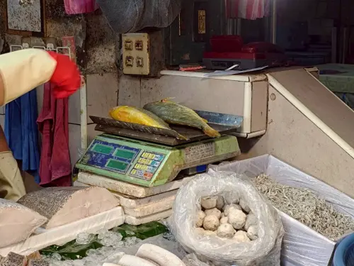 旭集天母店「旭蟹」驗出重金屬超標！市場黃魚檢出致癌禁藥
