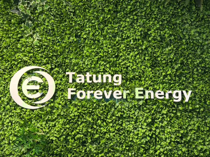 大同綠能接連報捷　切入Meta供應鏈傳聞後又與台北醫院簽綠電採購