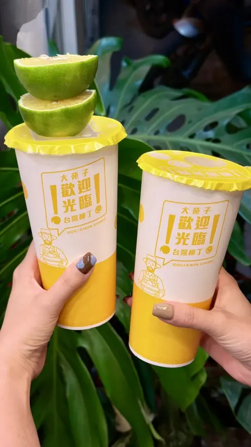 ▲大苑子一月放送兩大優惠。（圖／大苑子 dayungs.com）